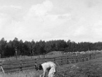 Siiri Tahtinen
